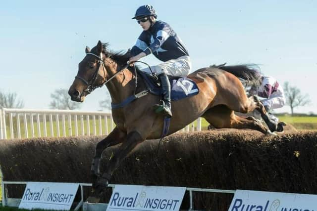 Tom Strawson rides the Tim Tarratt-trained Quiizical Nomad to victory Picture: Nico Morgan Photography EMN-170329-095643002