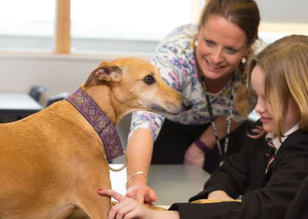 Whippet Peggie joins year 7 pupils at John Ferneley College in Melton to help them focus on schoolwork EMN-170424-121306001