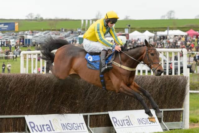 Thetalkinghorse and Sam Davies-Thomas land the Quorn Gold Cup EMN-170205-103553002