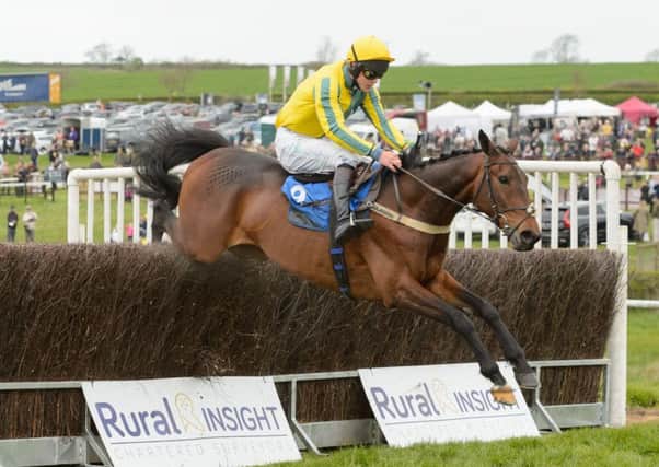 Thetalkinghorse and Sam Davies-Thomas land the Quorn Gold Cup EMN-170205-103553002