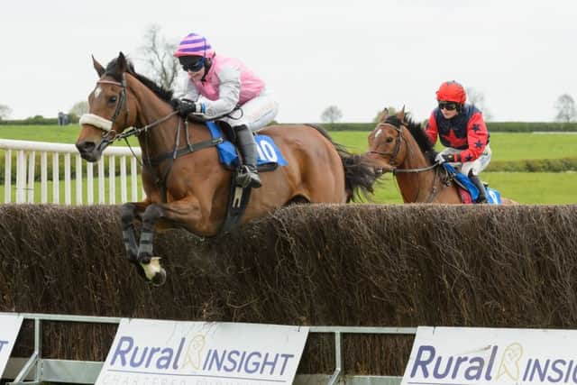 Western Diva (Claire Hardwick) on her way to winning the Ladies Open at the Quorn Point-to-Point EMN-170205-103540002