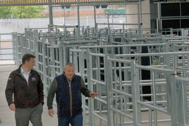 Project Manager Andy Tomkins checks out the new pens in Melton Cattle Market's plush new ?5.5million livestock building with market manager Tim Webster EMN-170515-131045001