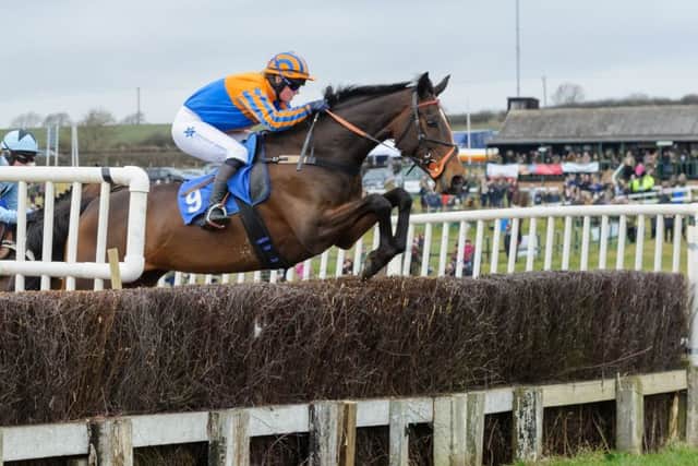 Lough Inch has six wins this season and is entered in Garthorpe's feature race on Sunday EMN-170517-091614002