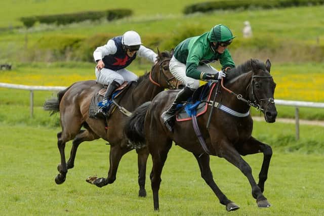 Double Handful and Joe Hill hit the front at the final turn in the the 2m 4f PPORA Club Members race PICTURE: Nico Morgan EMN-170525-164130002