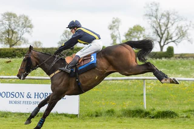 Beggar's Velvet won the feature race, Novice Riders Championship Final, after seeing off favourite For N Against PICTURE: Nico Morgan EMN-170525-163305002