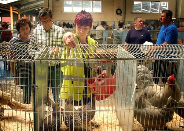 Market steward Helen Kinsey sprinkles water over the birds to keep them cool at the rare breeds poultry show in Melton EMN-170530-122944001