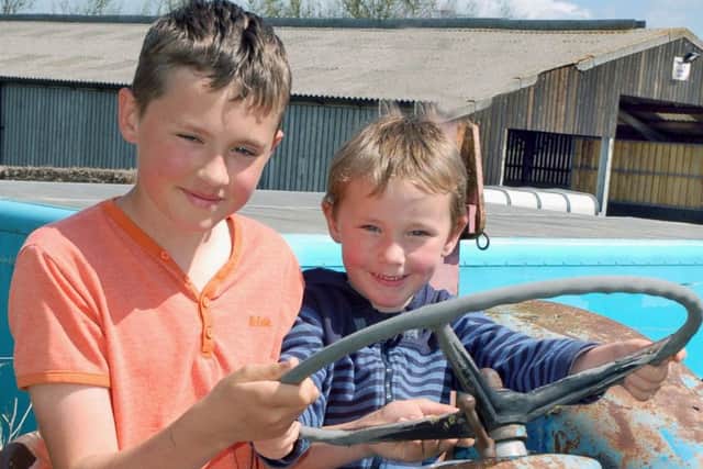 Christopher and Samuel Rawlings test drive a vintage tractor at Northfield Farm PHOTO: Tim Williams