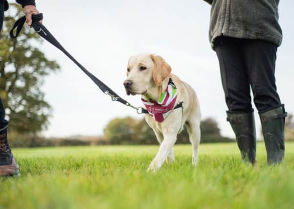The Great British Dog Walk takes place at Belvoir Castle PHOTO: Paul Wilkinson