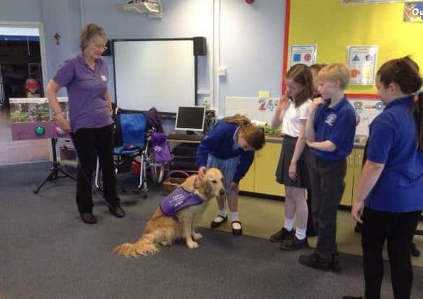 The children get acquainted with Blythe, a three-year-old Golden Retriever PHOTO: Supplied