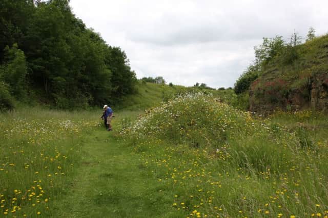 People looking round Holwell Natures Reserves PHOTO: Supplied