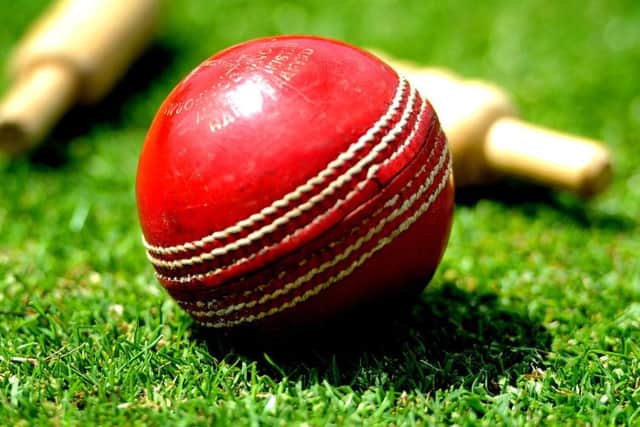 Cricket