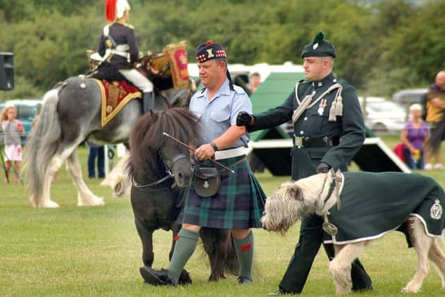 A Shetland pony and an Irish wolfhound were mascots in the parade ring