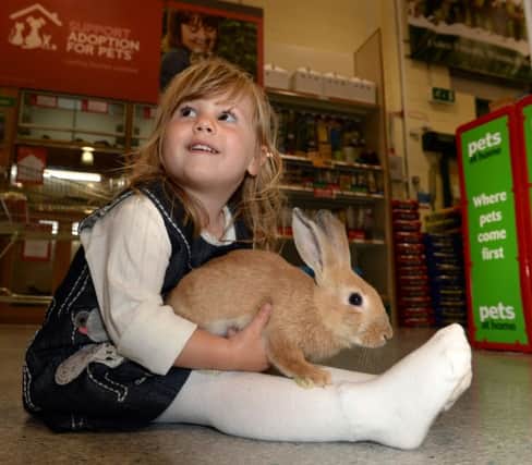 Two-year-old Lyra Mann and a rabbit PHOTO: Peter Glaser