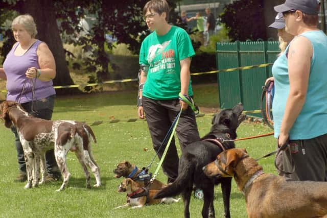 Awaiting the judge's decision at the dog show at Melton's Party in the Park EMN-170407-115539001