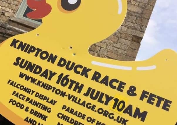Some of the signs that have been placed around the Vale of Belvoir to advertise Knipton's duck races and fete which takes place on Sunday PHOTO: Supplied