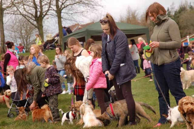 Pooches and owners in the dog show PHOTO: Tim Williams