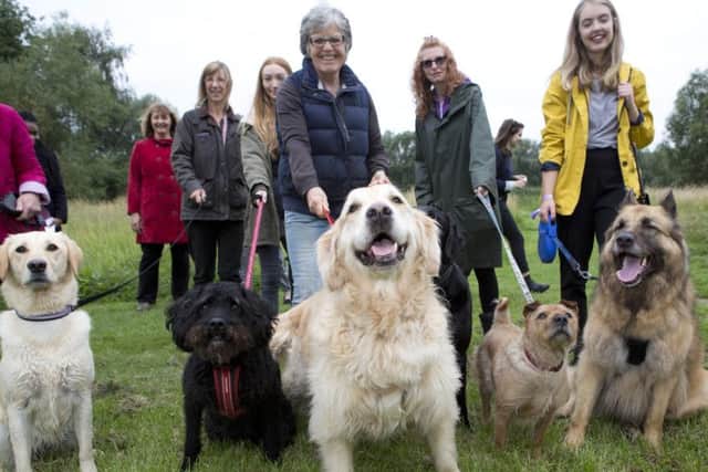 EDITORIAL USE ONLY
Melton Mowbray residents and their pets celebrate the opening of a new dog activity trail in Melton Country Park in Leicestershire, which has been installed as part of the pet-friendly initiatives being rolled out by the local council and Mars Petcare. PRESS ASSOCIATION Photo. Picture date: Tuesday July 25, 2017. New research of 2,500 pet and non-pet owners across the world found that pets bring communities together and strengthen ties with our neighbours. Photo credit should read: Lucy Ray/PA Wire EMN-170726-172357001