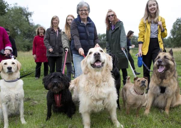 EDITORIAL USE ONLY
Melton Mowbray residents and their pets celebrate the opening of a new dog activity trail in Melton Country Park in Leicestershire, which has been installed as part of the pet-friendly initiatives being rolled out by the local council and Mars Petcare. PRESS ASSOCIATION Photo. Picture date: Tuesday July 25, 2017. New research of 2,500 pet and non-pet owners across the world found that pets bring communities together and strengthen ties with our neighbours. Photo credit should read: Lucy Ray/PA Wire EMN-170726-172357001