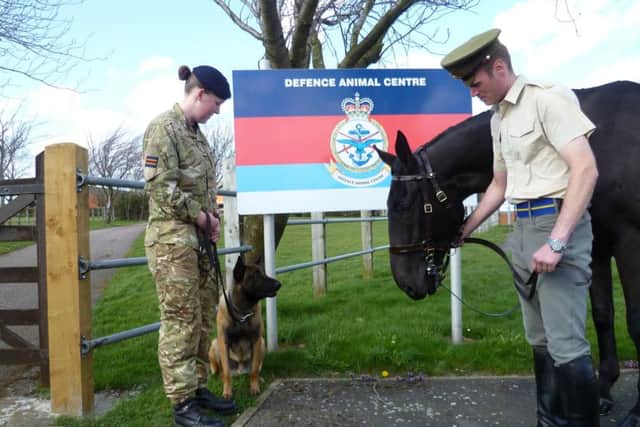 Melton's Defence Animal Centre EMN-170708-125857001