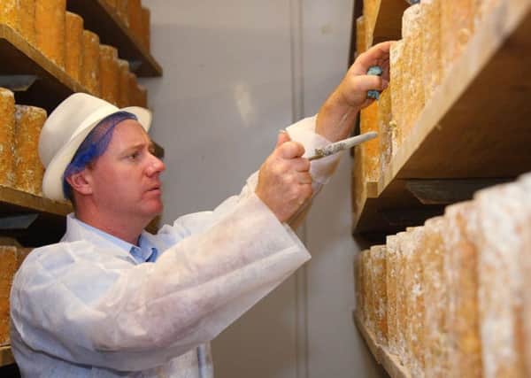 Billy Kevan, dairy manager at Colston Bassett tests the cheese PHOTO: Supplied