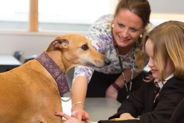 Whippet Peggie joins year 7 pupils at John Ferneley College in Melton to help them focus on schoolwork EMN-170925-143515001