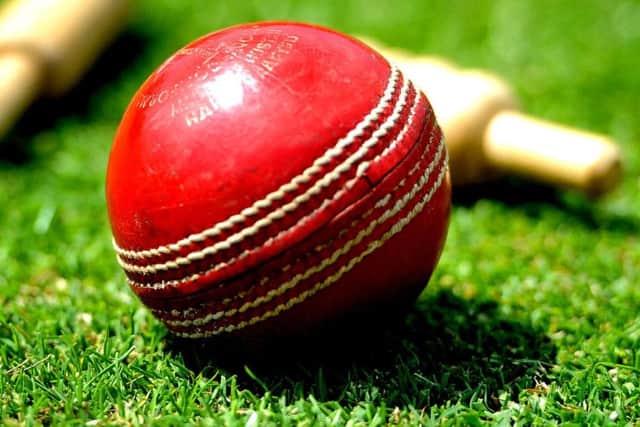 Cricket