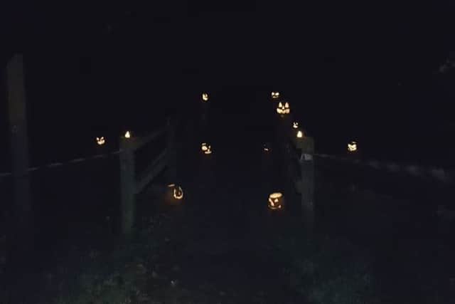 Pumpkins light up the way PHOTO: Supplied